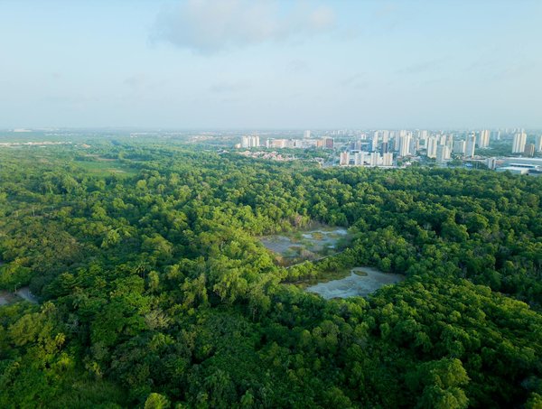 Huile de cbd : la clé pour une concentration optimale !