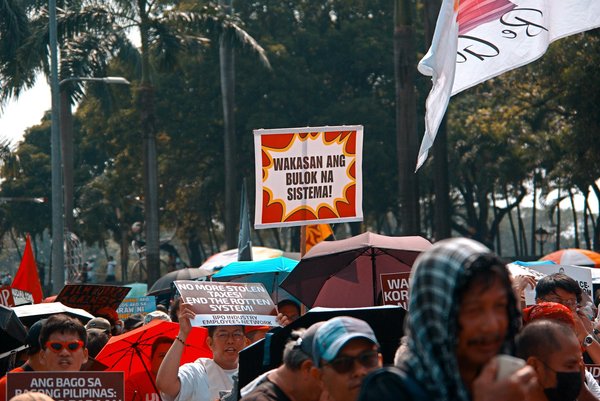 Naturopathie pour animaux : 5 méthodes naturelles pour chien et chat